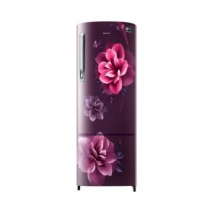 Samsung 255 L Direct Cool Single Door 3 Star Refrigerator  (Camellia Purple, RR26A375YCR/HL)