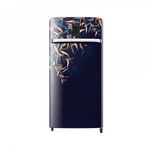 Samsung 198 L 3 Star Inverter Direct Cool Single Door Refrigerator (RR21A2E2YTU/HL)