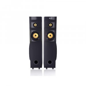 Philips Audio Tower Speaker SPA1100/94, 100W, with Speaker