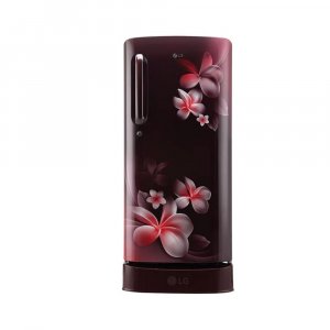 LG 190 L 4 Star Direct Cool Single Door Refrigerator Scarlet Plumeria (GL-D201ASPX)