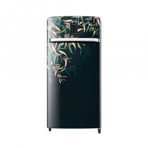 Samsung 198 L 3 Star Inverter Direct cool Single Door Refrigerator (RR21A2E2YTG/HL)