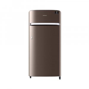 Samsung 198 L 4 Star Inverter Direct cool Single Door Refrigerator (‎RR21A2G2XDX/HL)
