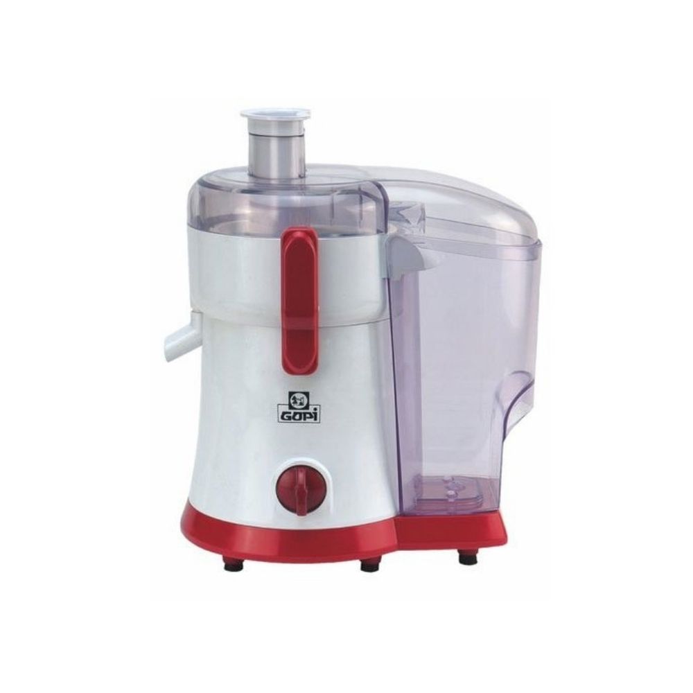 gopi mixer grinder