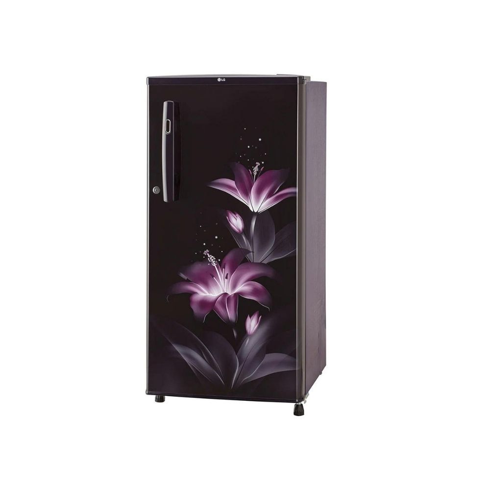 LG GL-B199OPGC 190L 2 Star Single Door Refrigerator