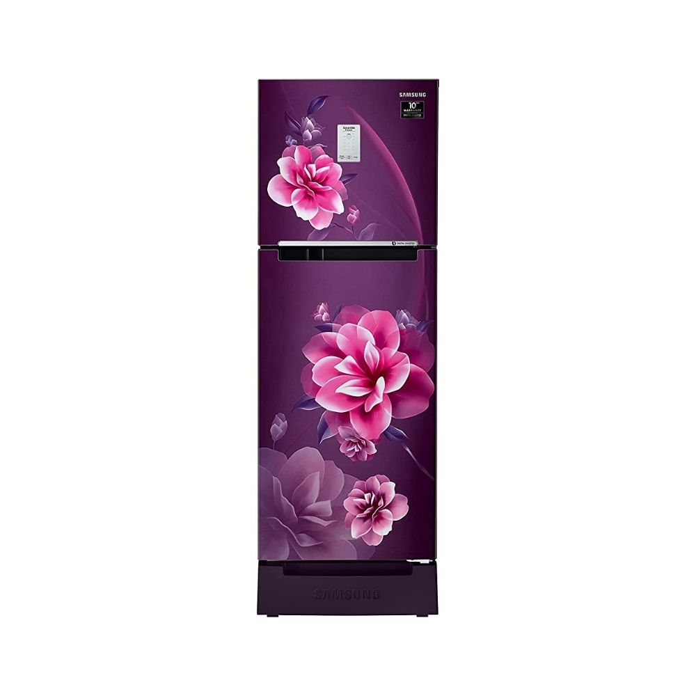 Samsung 244 L 2 Star Inverter Frost Free Double Door Refrigerator (RT28A3C22CR/HL, Camellia Purple )