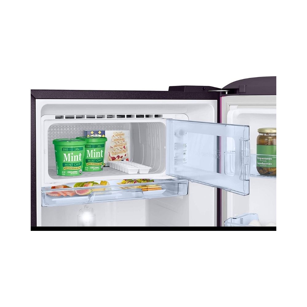 samsung fridge rr21t2g2w9r