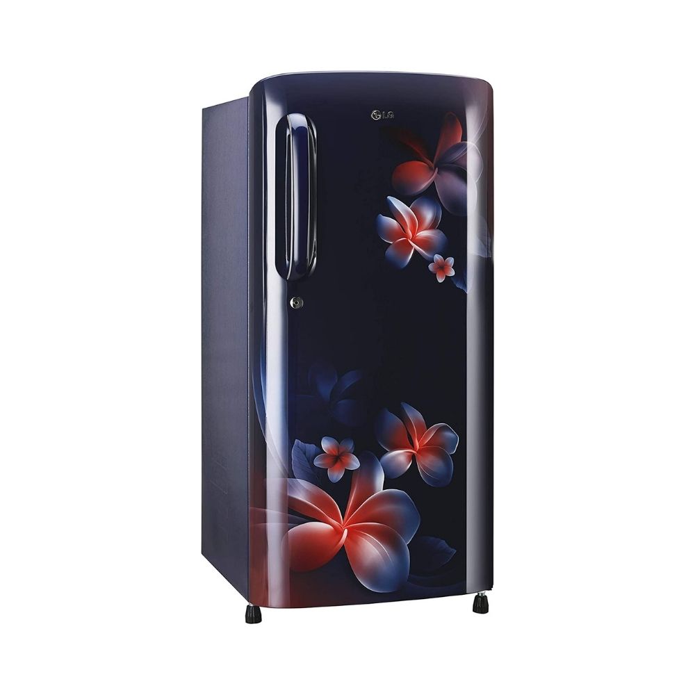 LG 190 L Direct Cool Single Door 4 Star Refrigerator  (Blue Plumeria, GL-B201ABPD)