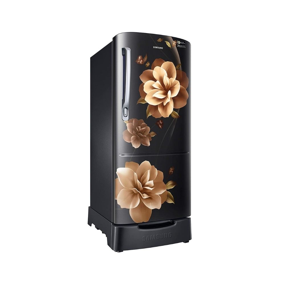 Samsung 192 L Direct Cool Single Door 3 Star Refrigerator Camellia Black (RR20A282YCB/NL)