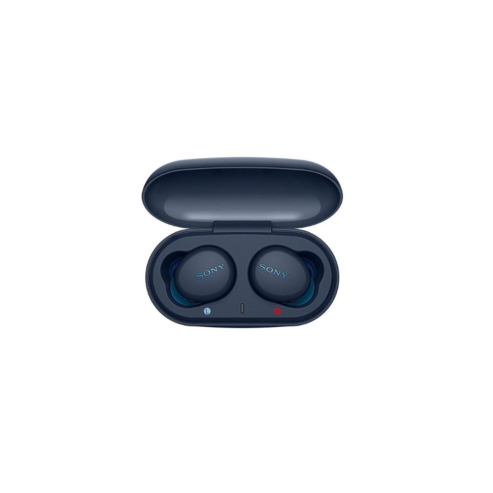 SONY WF-XB700 Bluetooth Earbuds (Blue, True Wireless)