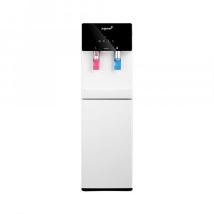 Livpure Water Purifier - DSP Knight