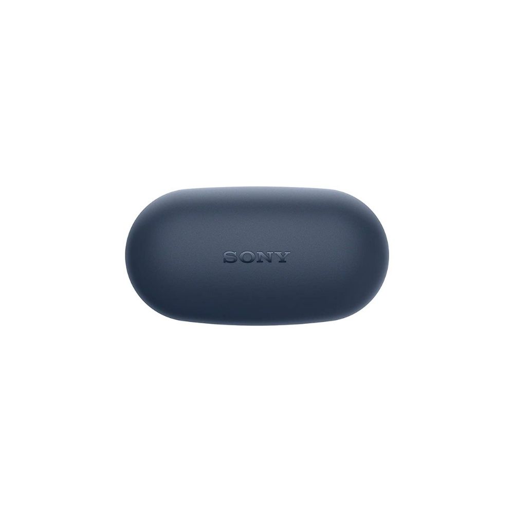 SONY WF-XB700 Bluetooth Earbuds (Blue, True Wireless)