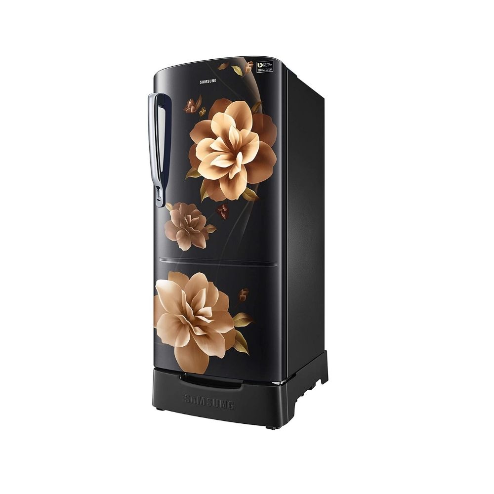 Samsung 192 L Direct Cool Single Door 3 Star Refrigerator Camellia Black (RR20A282YCB/NL)