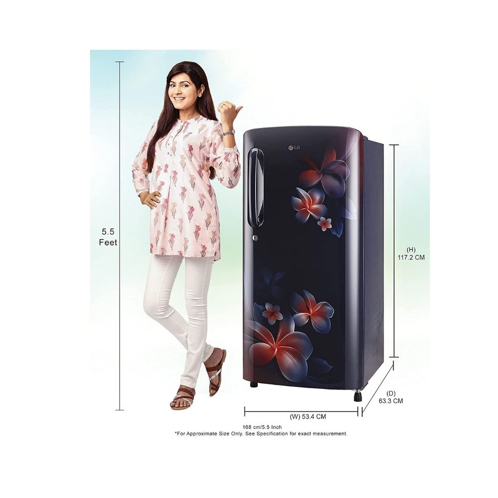 LG 190 L Direct Cool Single Door 4 Star Refrigerator  (Blue Plumeria, GL-B201ABPD)