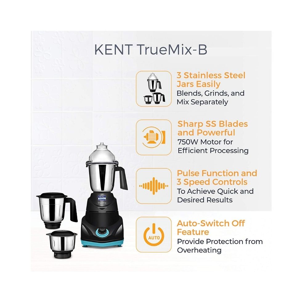 Kent 16065 TrueMix-B 750W | Pulse Function
