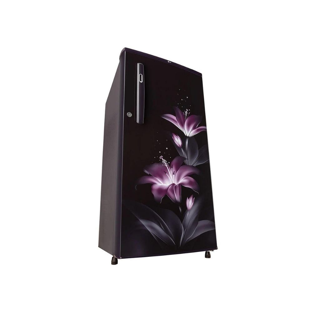 LG GL-B199OPGC 190L 2 Star Single Door Refrigerator