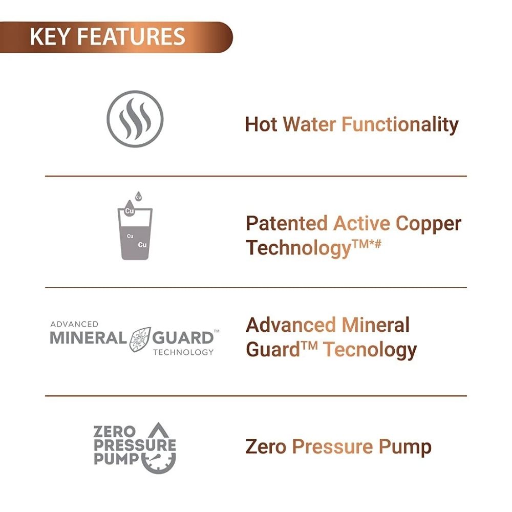 Eureka Forbes Aquaguard Blaze  RO+UV+MTDS+HOT & Ambient+SS+AC Water Purifier (Black)