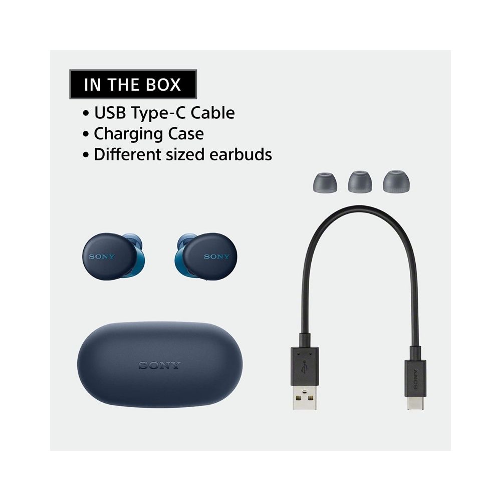 SONY WF-XB700 Bluetooth Earbuds (Blue, True Wireless)