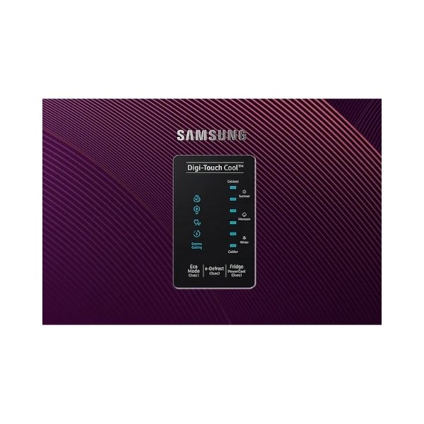 Samsung 225 L 4 Star Inverter Direct cool Single Door Refrigerator (RR23A2F3X4R/HL)