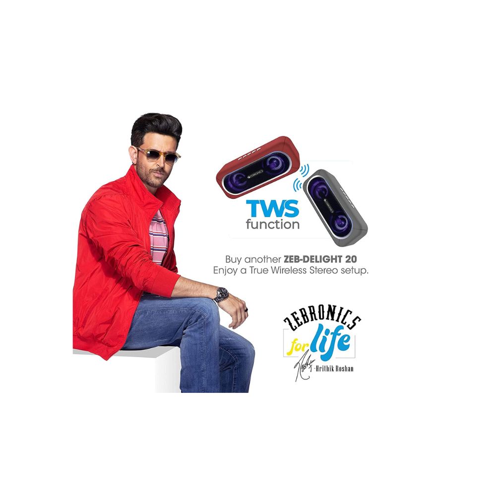 Zebronics Zeb-Delight 20 Portable BT Speaker