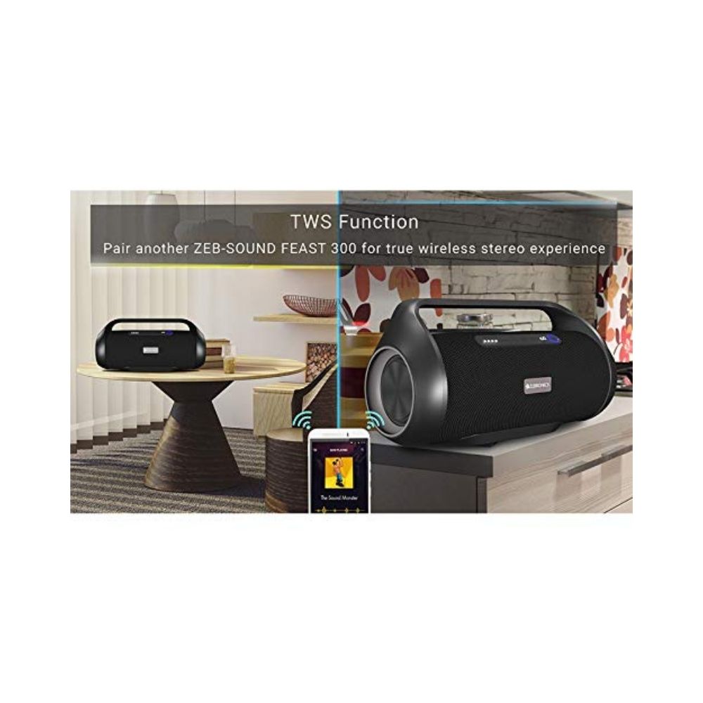 Zebronics Zeb-Sound Feast 300 Wireless Bluetooth