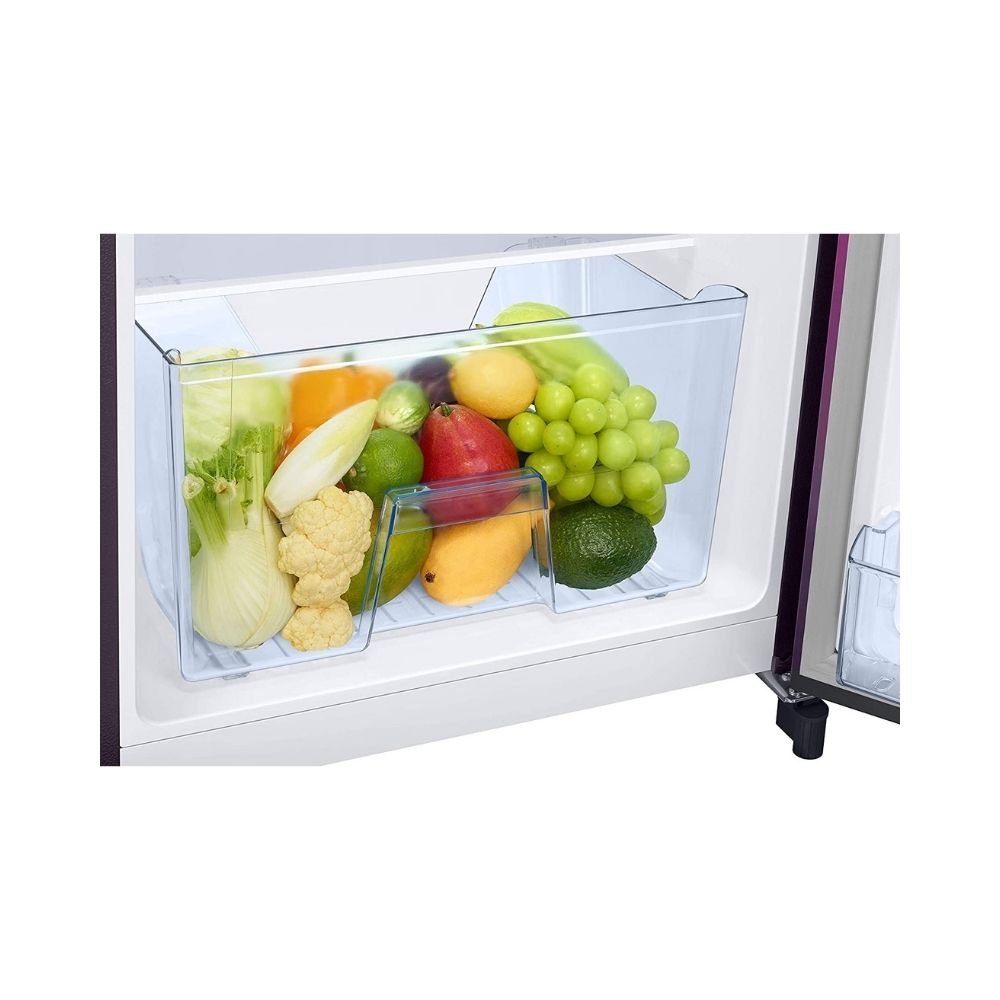 samsung fridge rr21t2g2w9r