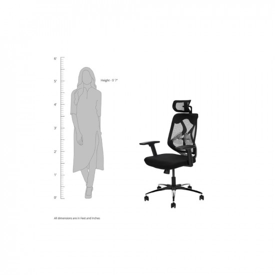 Amazon Brand - Solimo Elite Pro Multi Adjustable Headrest Office Chair (Nylon, Black)