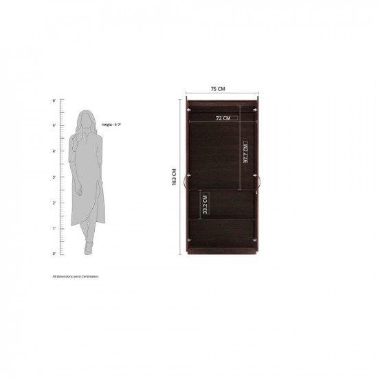 Amazon Brand - Solimo Medusa 2 Door Engineered Wood Wardrobe (Wenge finish)