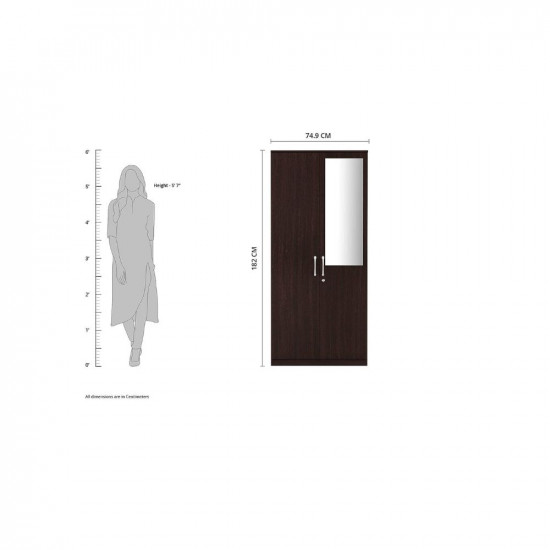 Amazon Brand - Solimo Medusa 2 Door Engineered Wood Wardrobe with Drawer and Mirror (Wenge finish)