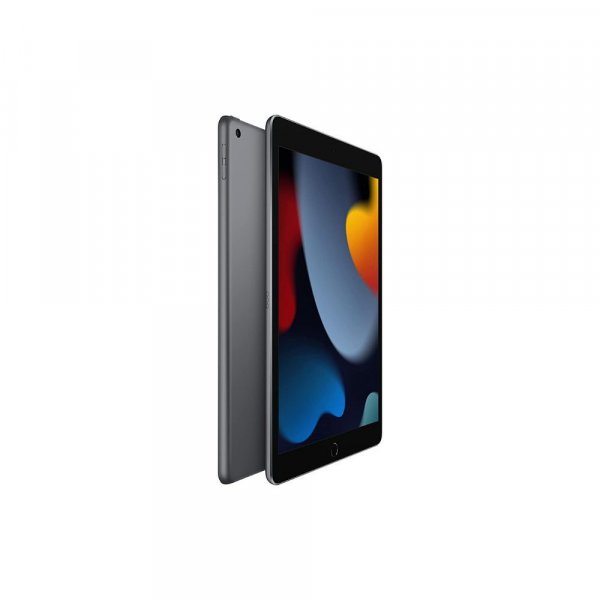 Apple 2021 10.2-inch (25.91 cm) iPad with A13 Bionic chip (Wi-Fi, 64GB) - Space Grey(9th Generation)