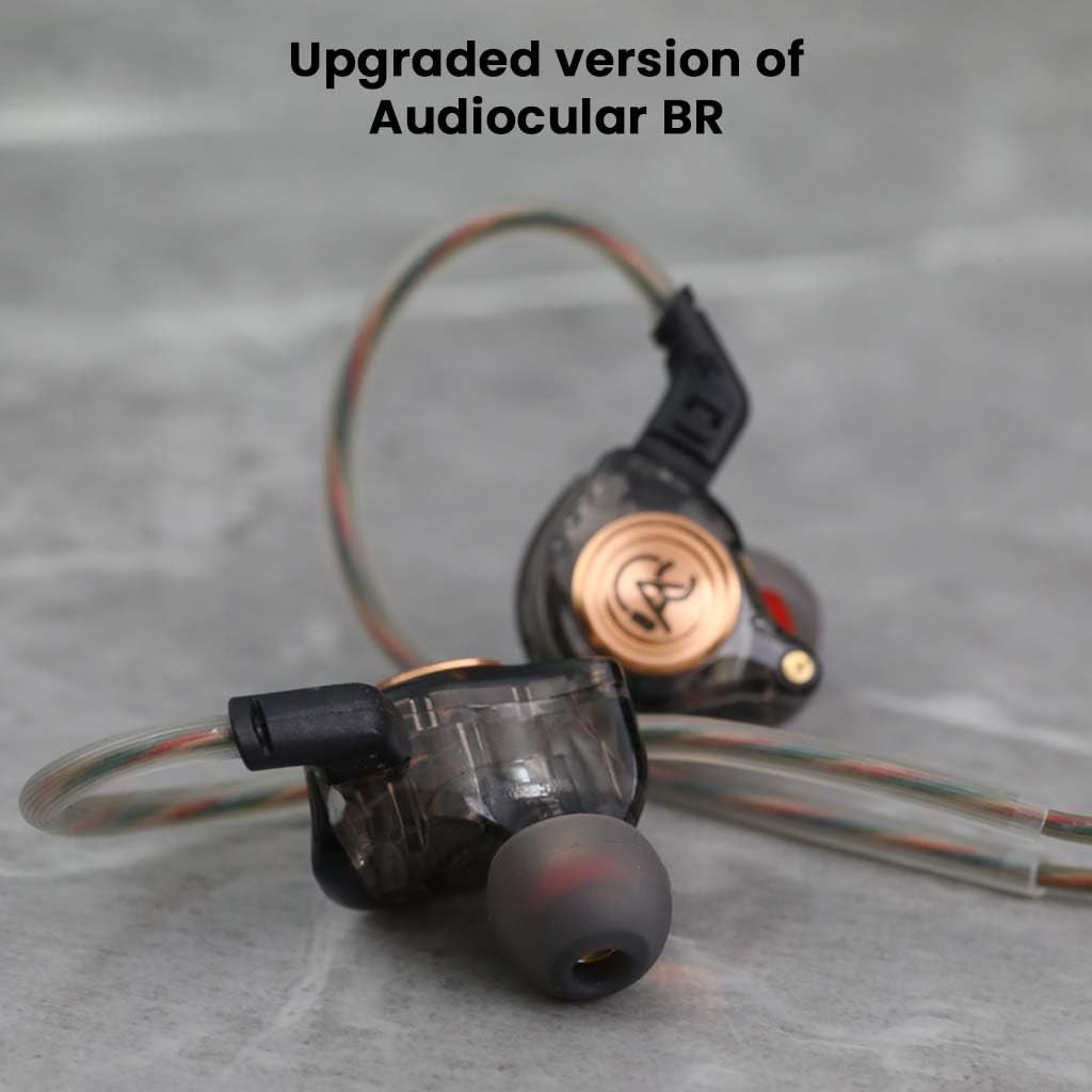 AUDIOCULAR BR Pro IEM Wired Earphones in Ear Monitor with Type-C Plug 10mm Titanium Driver HD Mic Oxygen-Free Copper Cable Noise-Isolating Eartips  for Android Laptops Tablets