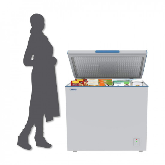 Blue Star CF4-225DSW Single Door Deep Freezer (192 Ltrs, White)