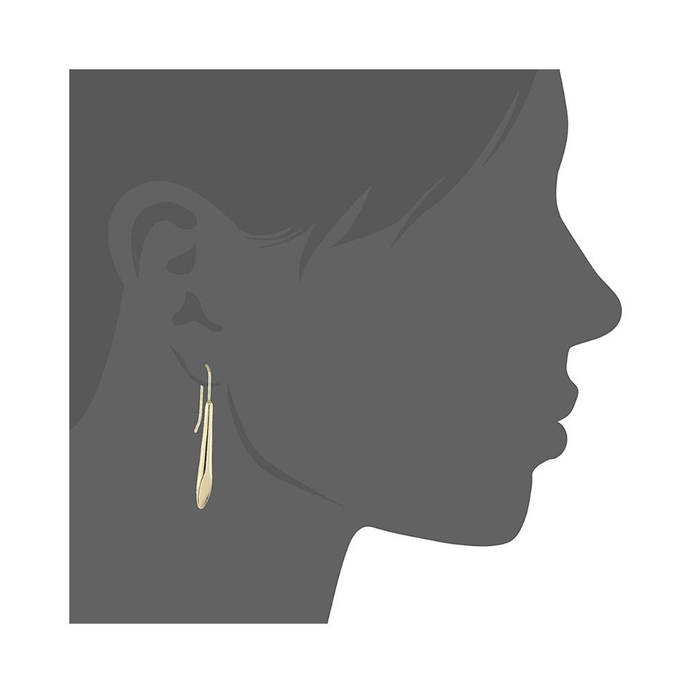 Estele 24 Kt Gold Plated Wand Drop Earrings For Women