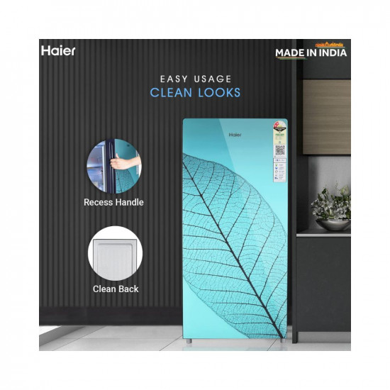 Haier 185 L 2 Star Direct Cool Single Door Refrigerator (2023 Model, HED-19TGG-N, Holyleaf Glass)