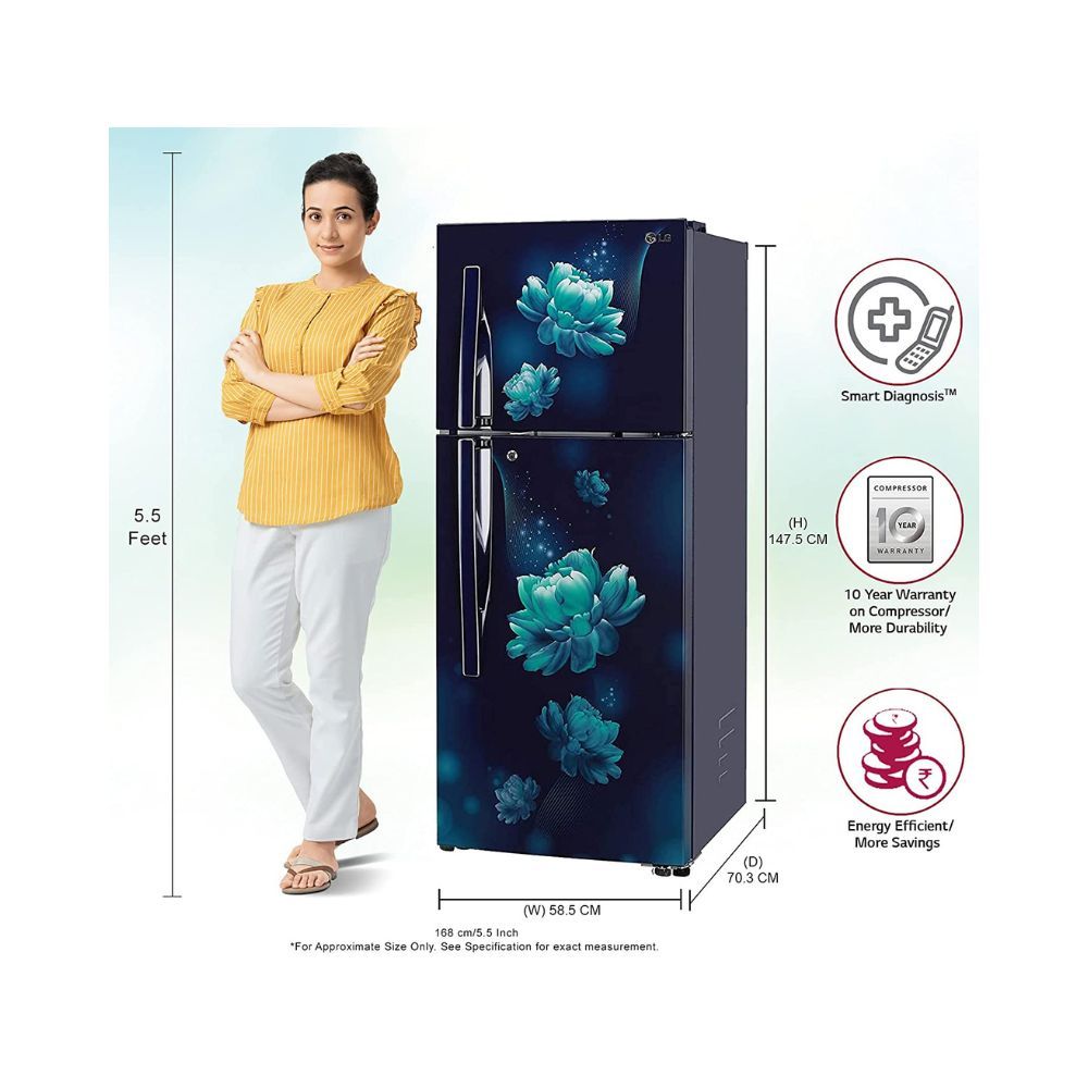 LG 260L 3 Star Smart Inverter Frost-Free Double Door Refrigerator (Blue)