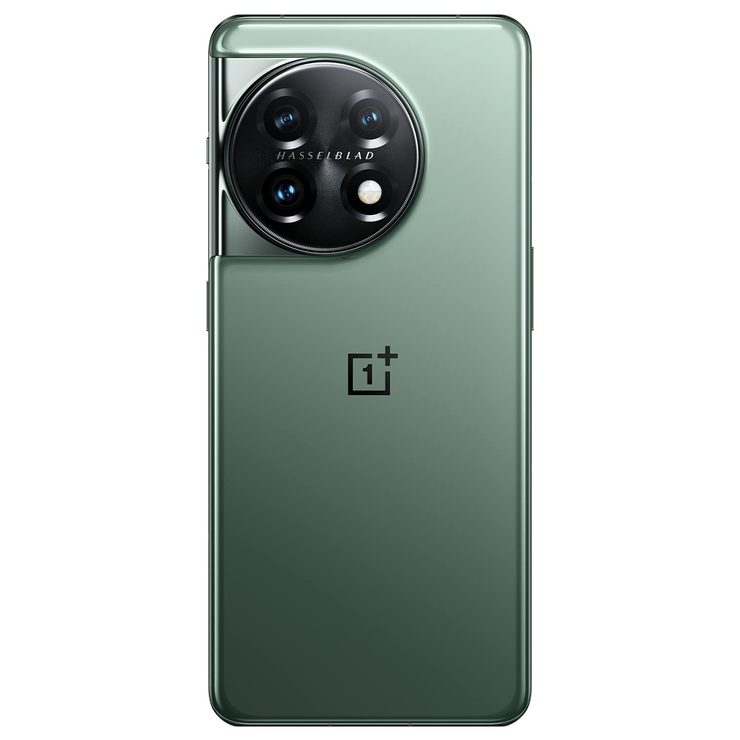 OnePlus 11 5G Eternal Green 8GB RAM 128GB Storage
