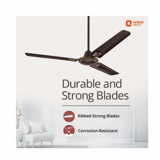 Orient Electric Pacific Air Decor | 1200mm BEE Star Rated Ceiling Fan