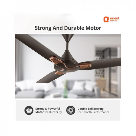 Orient Electric Jazz Trendz 1200mm Ceiling Fan | Decorative Ceiling Fan for Home with High-Air Delivery | Durable Copper Motor (Metallic Bronze Copper, Pack of 1) Shree Ambey Traders