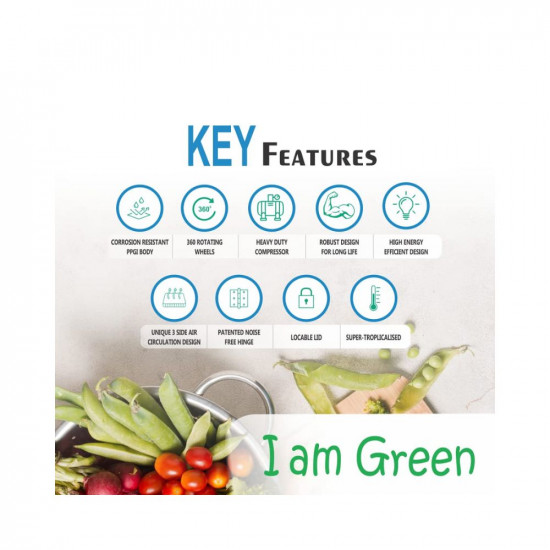 Rockwell 209 Ltr 5 Star Single Door Convertible GREEN Deep Freezer-GFR250SDUC (10 yr Warranty on body,Upto 53% Power Saving,100% copper coil)