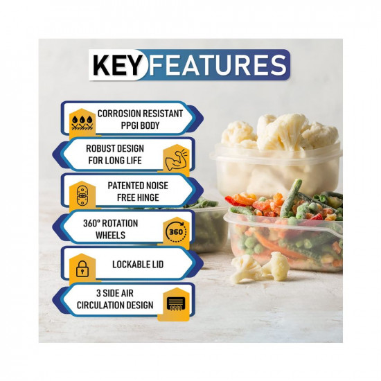Rockwell SFR250SDU Single Door Convertible Deep Freezer-236 Ltr (4 yrs Compressor Warranty, Low power Consumption)