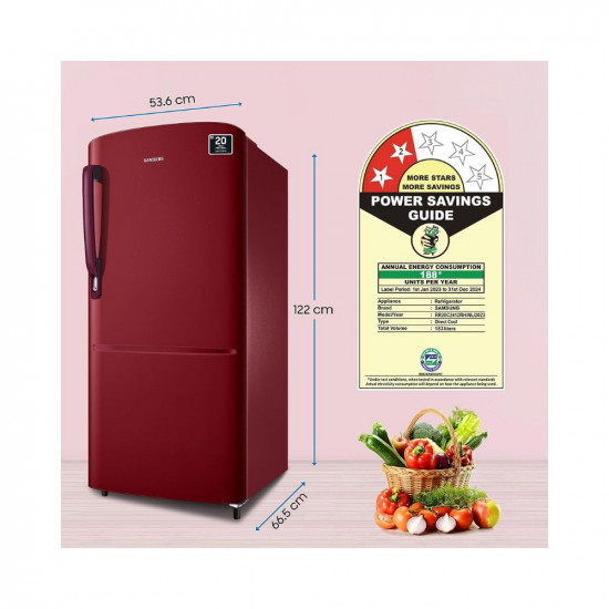Samsung 183 L 2 Star Digital Inverter Direct Cool Single Door Refrigerator RR20C2412RH NL