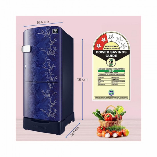 Samsung 183 L 2 Star Digital Inverter Direct Cool Single Door Refrigerator RR20C2Z226U NL