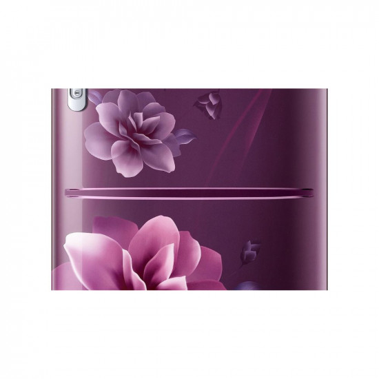 Samsung 183 L 4 Star Digital Inverter Direct Cool Single Door Refrigerator RR20C1724CR HL