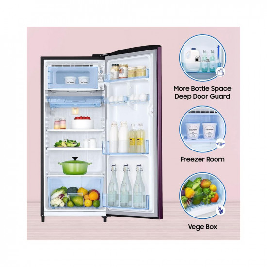 Samsung 183 L 4 Star Digital Inverter Direct Cool Single Door Refrigerator RR20C1724CR HL