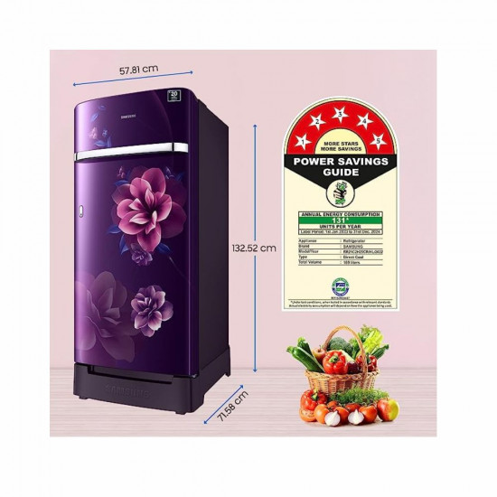 Samsung 189 L 5 Star Digital Inverter Direct Cool Single Door Refrigerator RR21C2H25CR HL