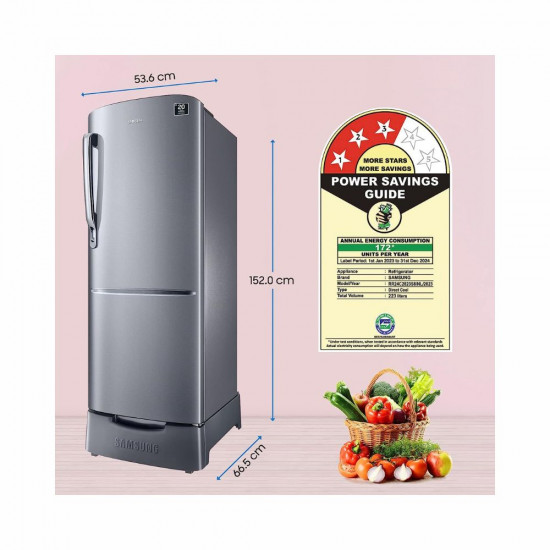 Samsung 223 L 3 Star Digital Inverter Direct Cool Single Door Refrigerator RR24C2823S8 NL