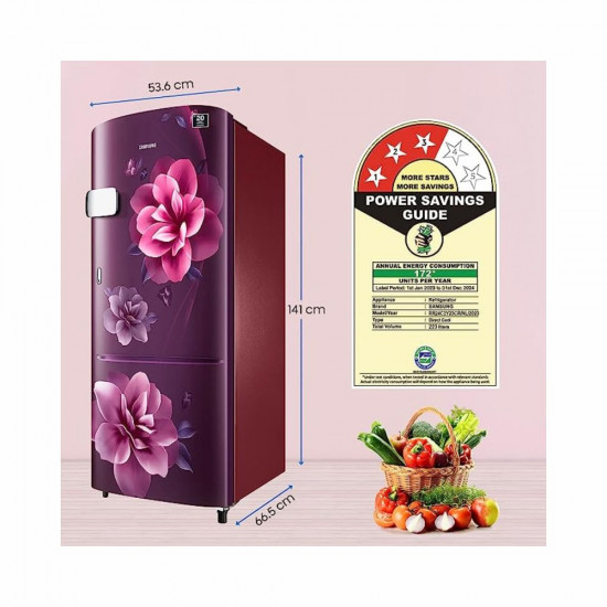 Samsung 223 L 3 Star Digital Inverter Direct Cool Single Door Refrigerator RR24C2Y23CR NL