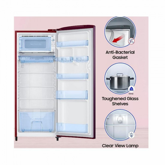 Samsung 223 L 3 Star Digital Inverter Direct Cool Single Door Refrigerator RR24C2Y23S8 NL