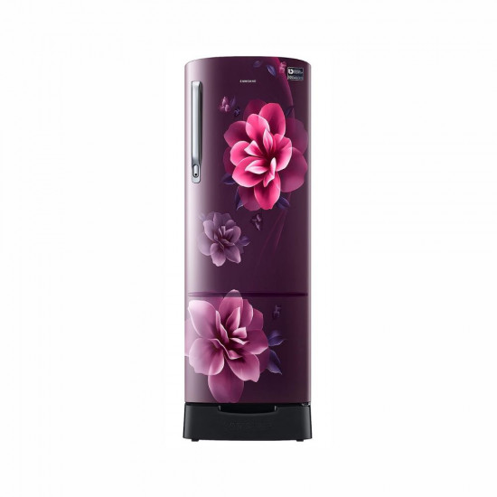 Samsung 246 L 3 Star Digital Inverter Direct Cool Single Door Refrigerator RR26C3893UT HL