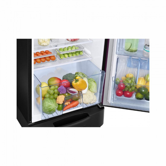 Samsung 246 L 3 Star Digital Inverter Direct Cool Single Door Refrigerator RR26C3893UT HL