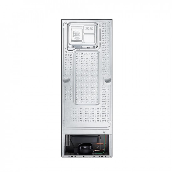 Samsung 256 L 2 Star Digital Inverter Frost Free Double Door Refrigerator RT30C3442S9 HL